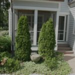 Evanston Garden Front and Back