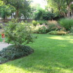 Side yard Evanston home