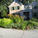 Flossmoor Garden Renovation