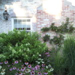 Flossmoor Garden Renovation espaliered