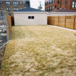 New Home at Hyde Park Garden Renovation_BEFORE VIEW