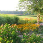 LaPorte County Garden Long View