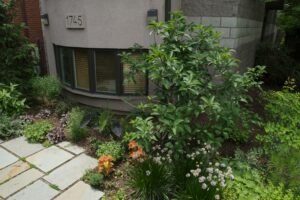 Lincoln Park Side Garden