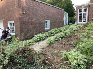 Renovating Garden Entrance