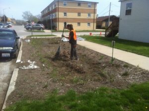 Crews cleaning newly-seeded native prairie