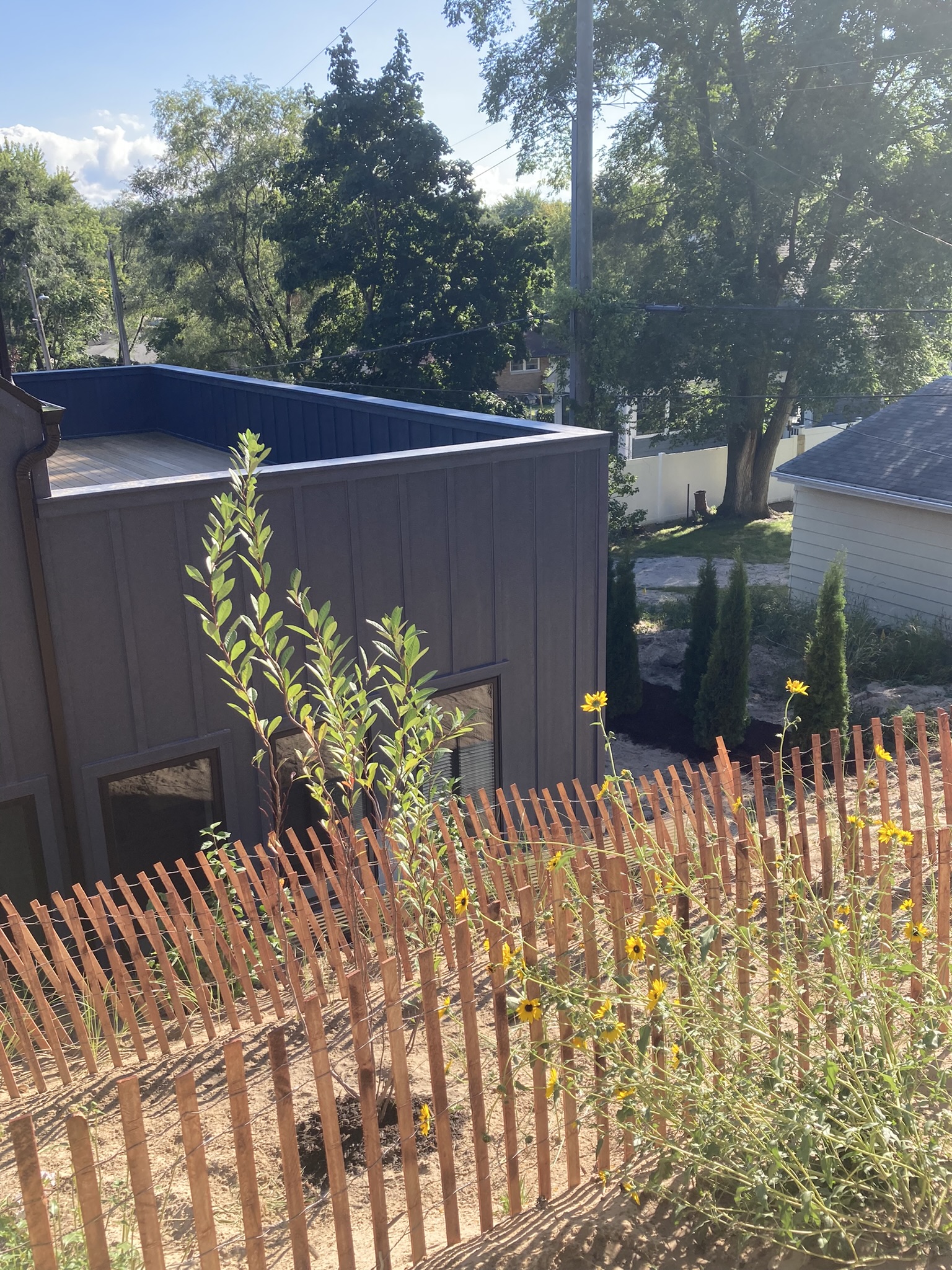 Ecological treatment for new home in the Dunes at Miller Beach, IN.