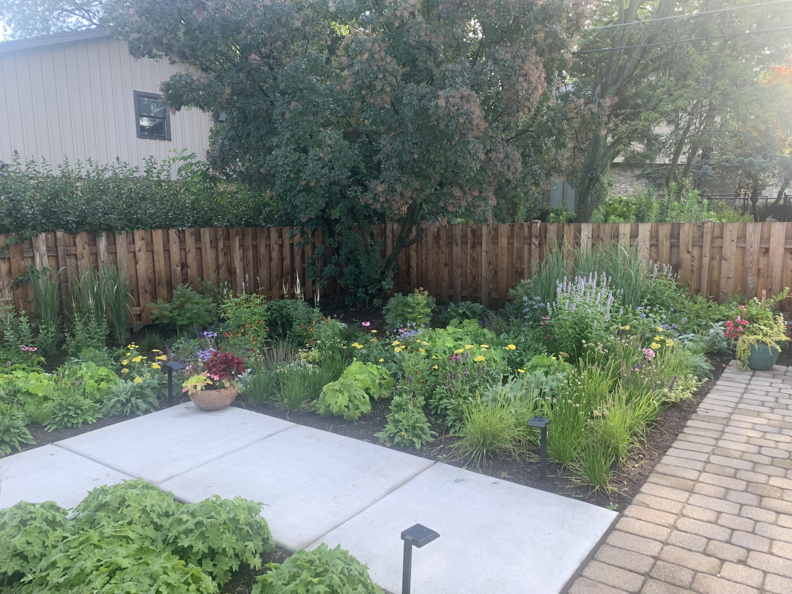 Happy Client after only months of garden growth.