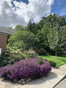 late summer garden entrance view