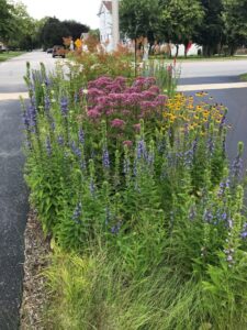 Midlothian residential rain garden